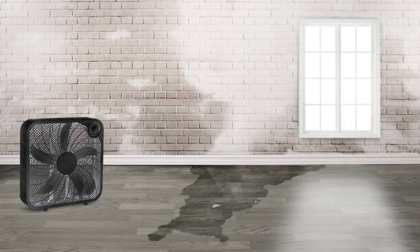 Best Fire Damage Restoration  in Los Alamos, NM