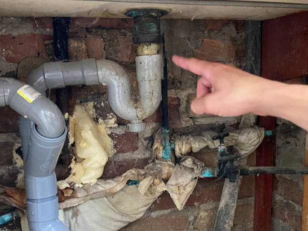 Best Residential water damage restoration  in Los Alamos, NM